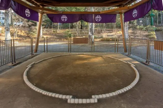 The Sumo Dohyō