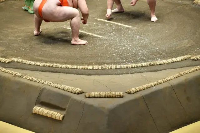 Image of a bout taking place during Honbasho