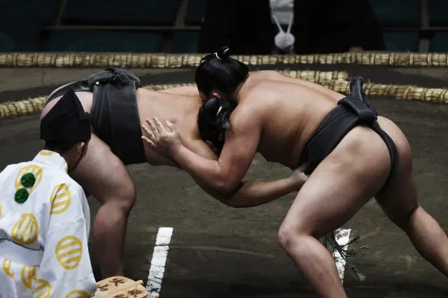 A Beginner's Guide to Sumo: An Easy Breakdown of the Basics and all the Best of Sumo