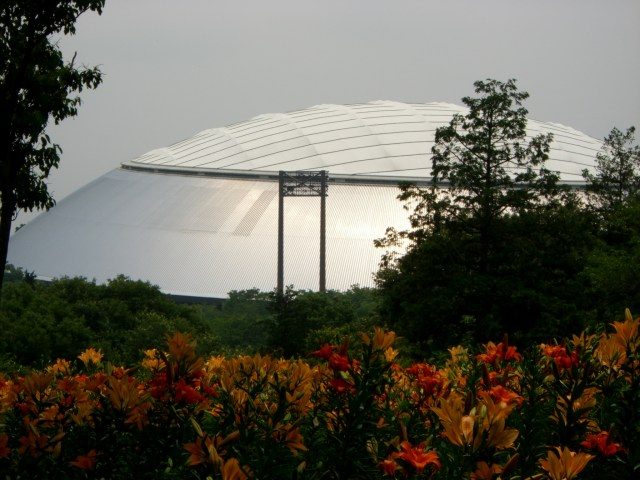 「西武巨蛋」銀色的屋頂和園內百合花遙相呼應