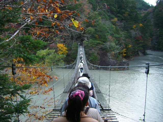 「夢之吊橋」