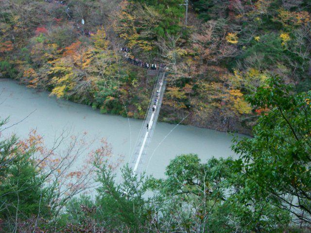 「夢之吊橋」