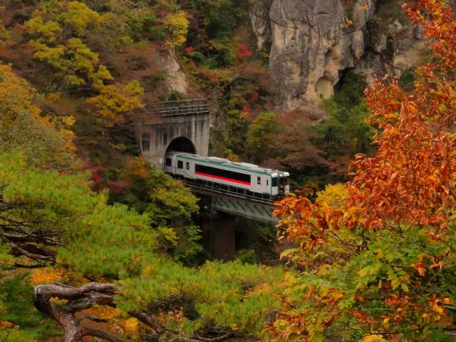 火車、山洞、鐵橋和紅葉共同編織出的美景