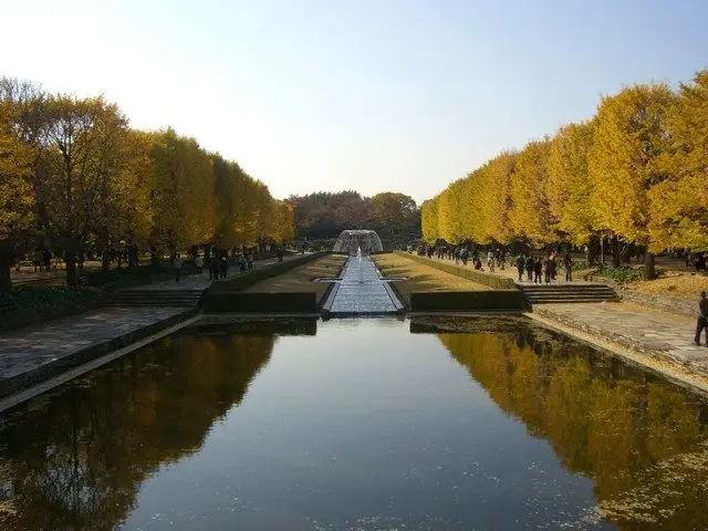 「カナール(运河canal）」