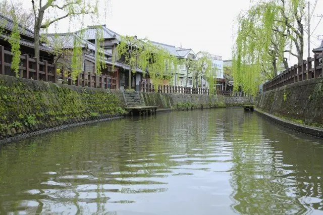 河岸垂柳，綠意盎然的水都佐原