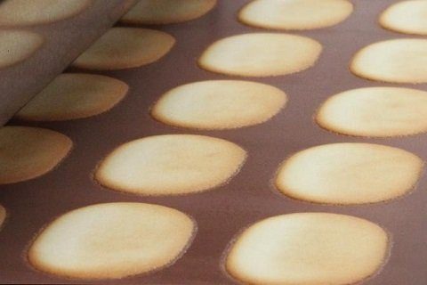 易於捲起的薄片