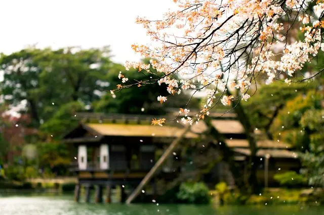 兼具六勝之美而得名的兼六園