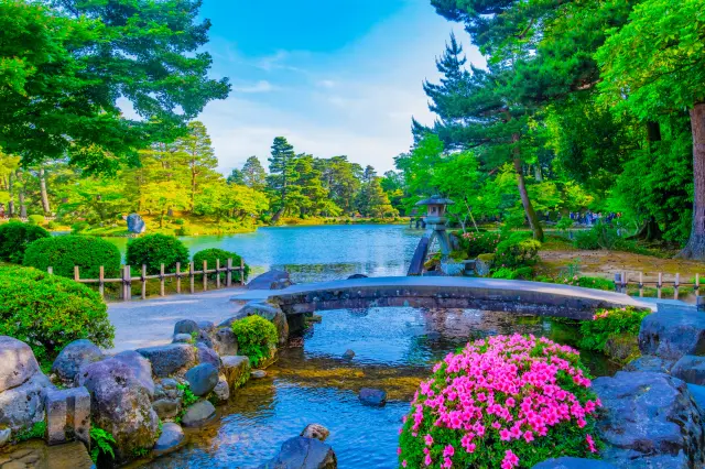 Its graceful curve harmonizes beautifully with the lantern