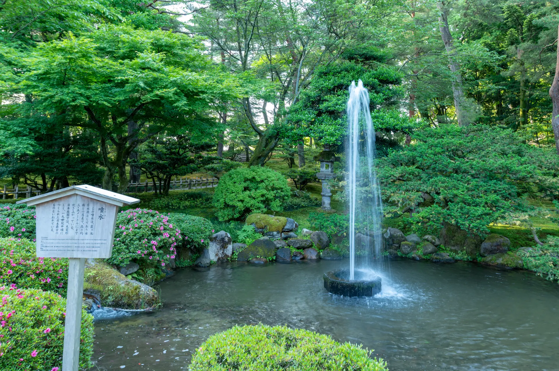 白い飛沫が舞う美しい瞬間を切り取る