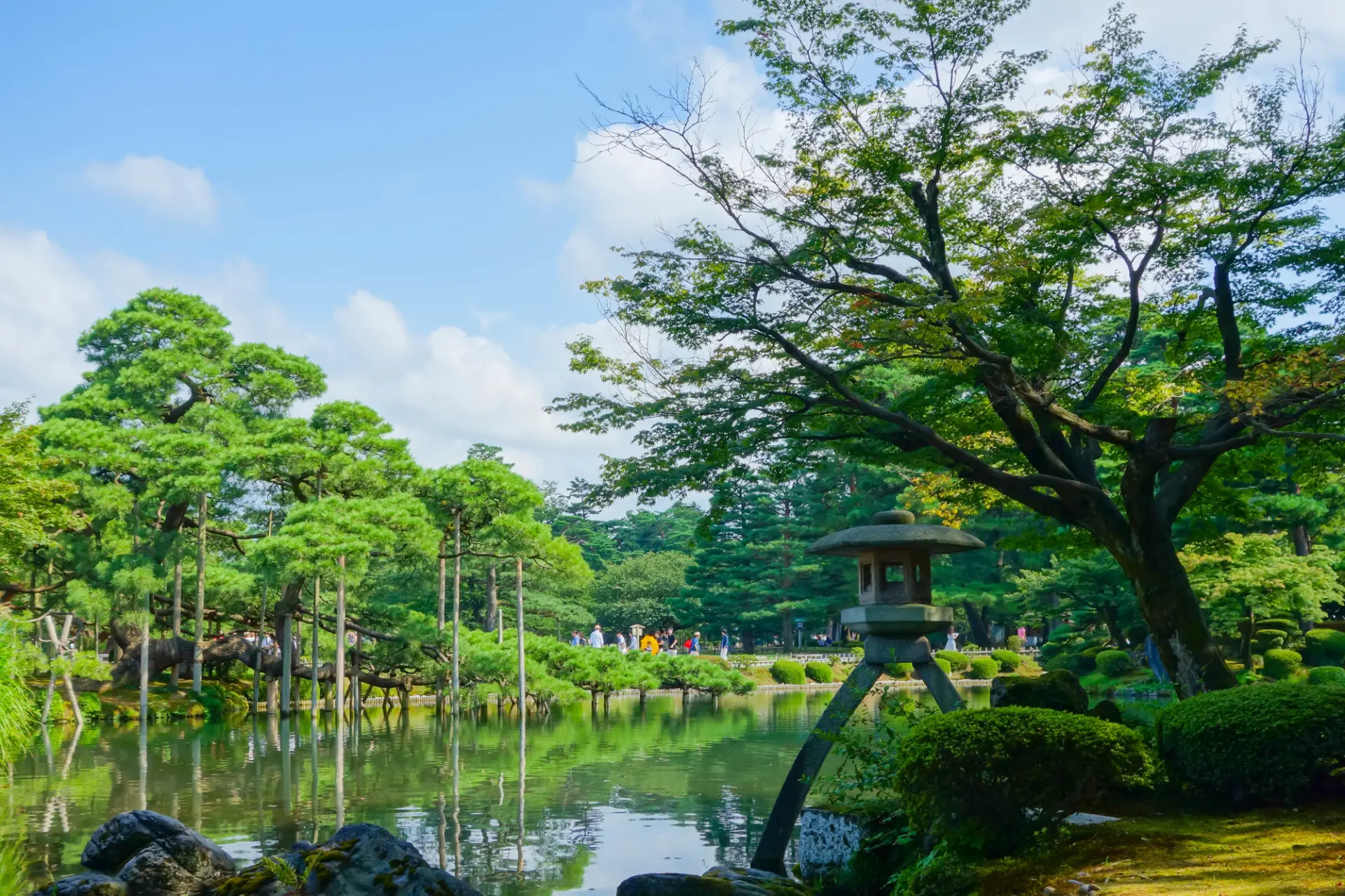 霞ヶ池周辺の深新緑に心奪われる夏
