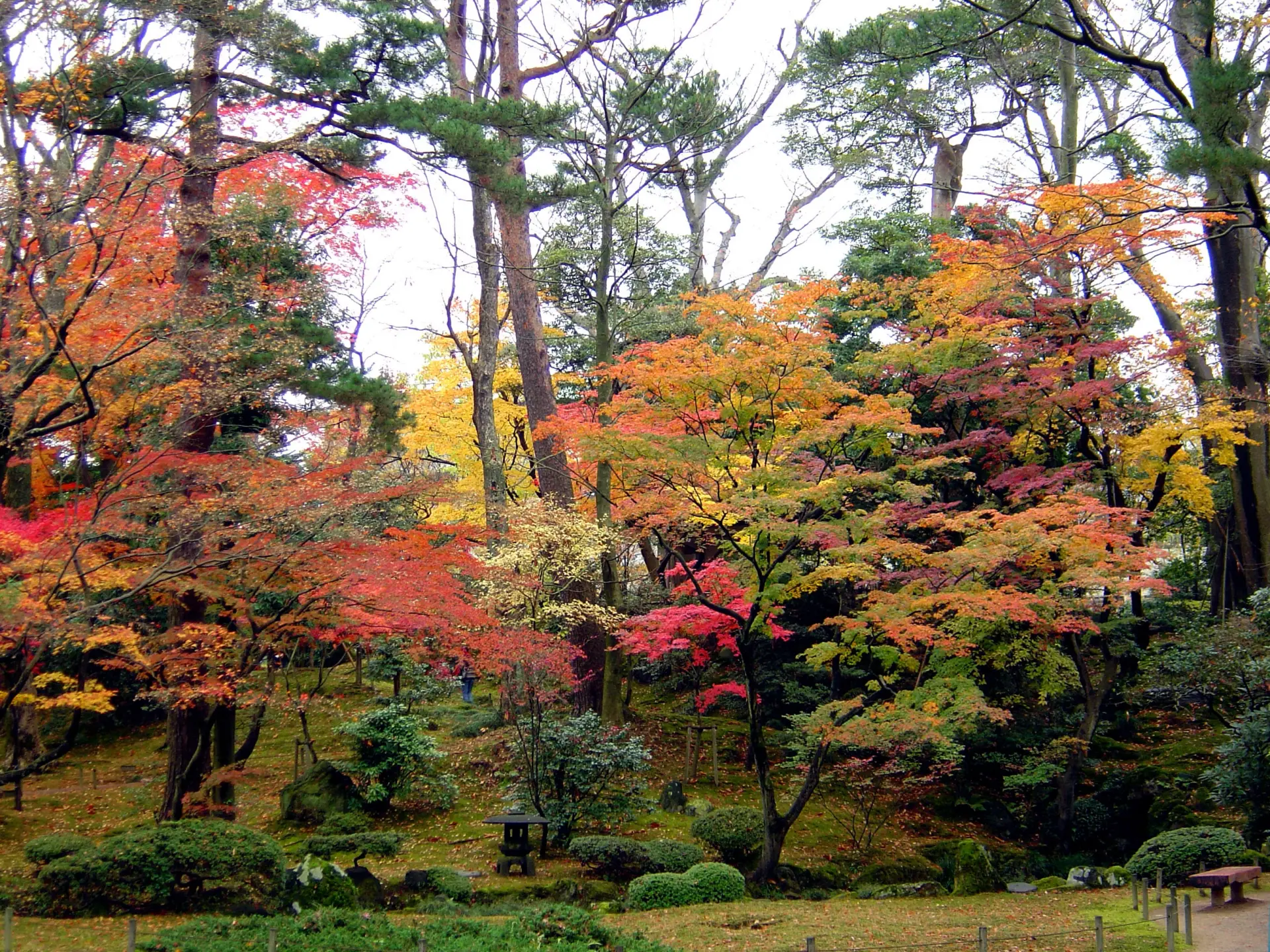 赤や黄に染まる、紅葉時期の山崎山