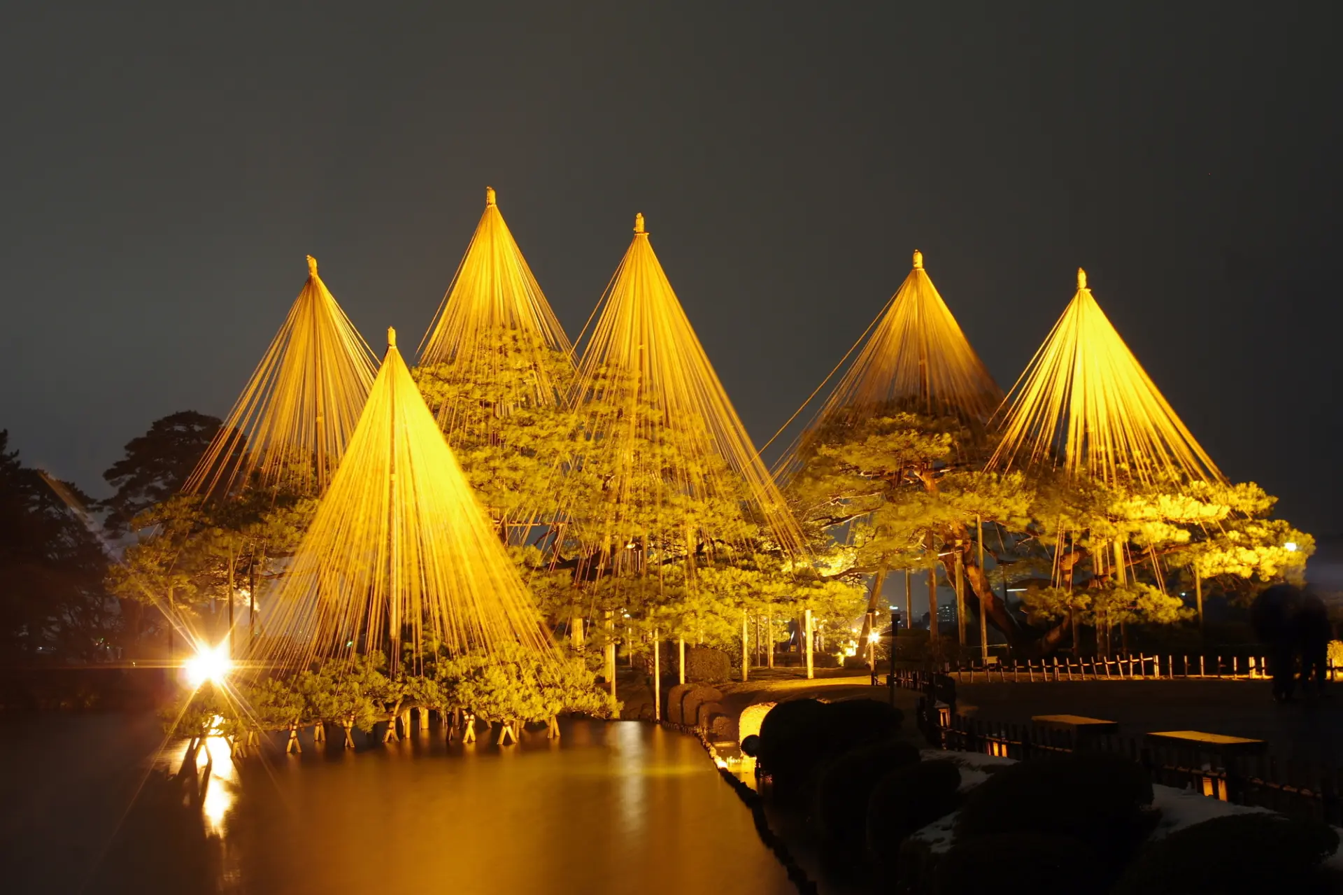 幻想的に照らされる唐崎松の雪吊り