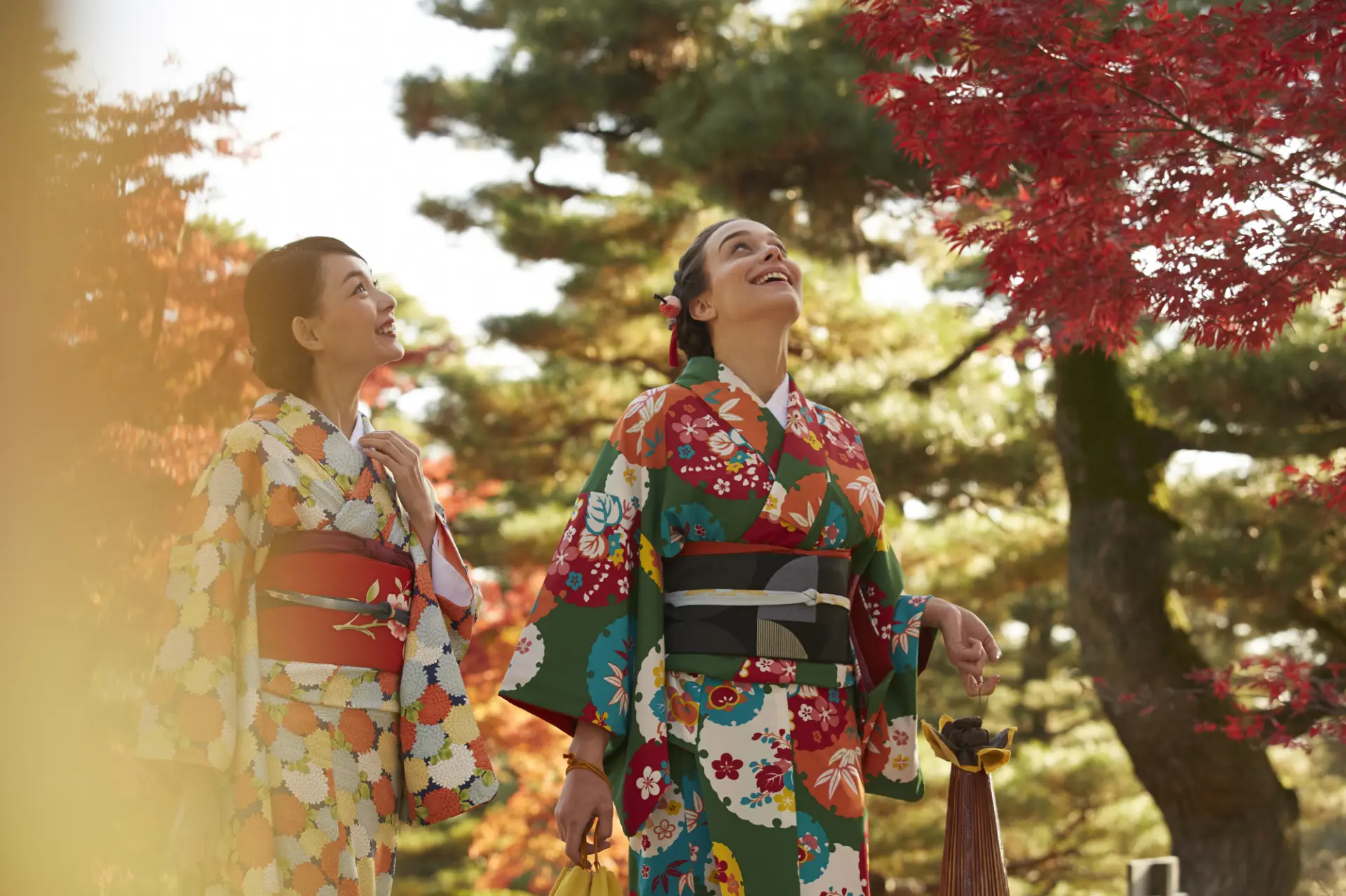 同じ園路でも景色の見え方が豊かになる