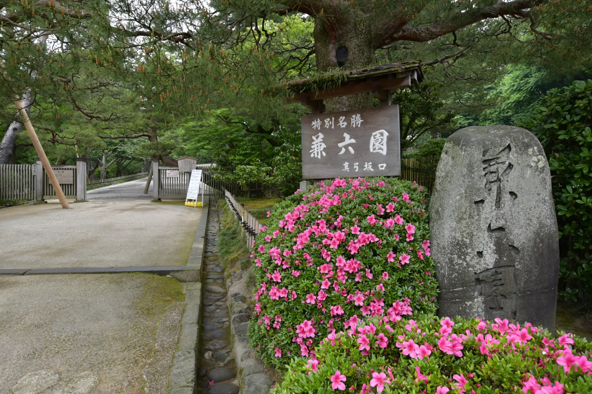 瓢池や噴水へもアクセスしやすい真弓坂口