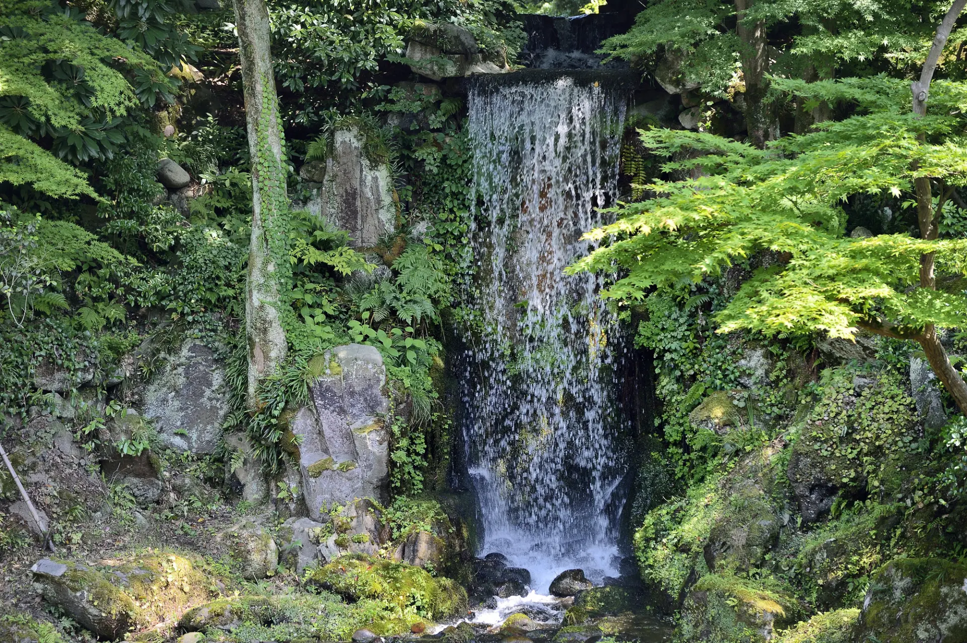 苔と緑に囲まれた静寂に水音が響き渡る