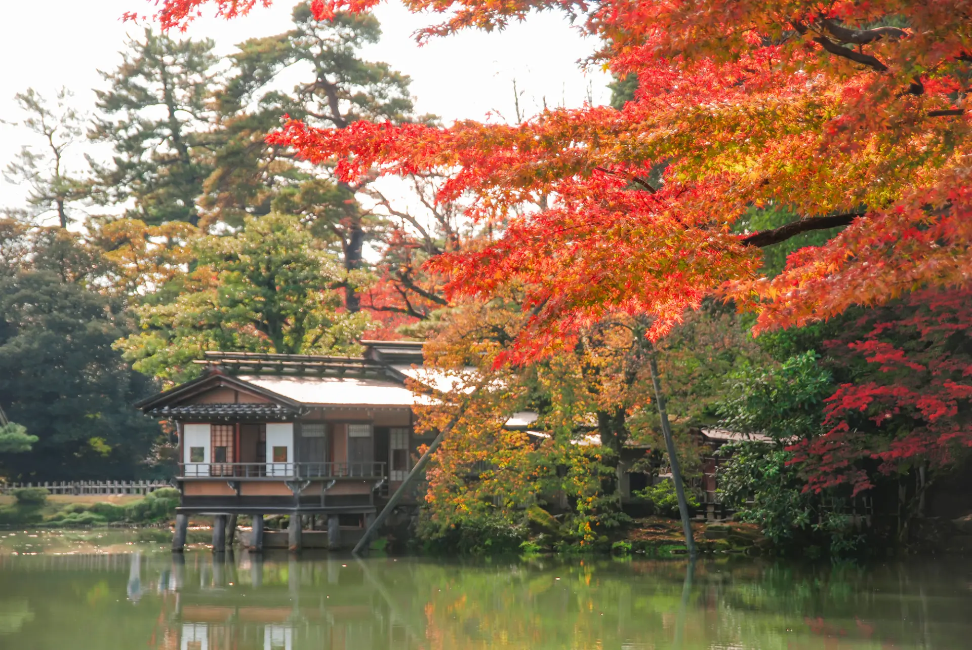水面の反射も一緒に写すと美しさが際立つ