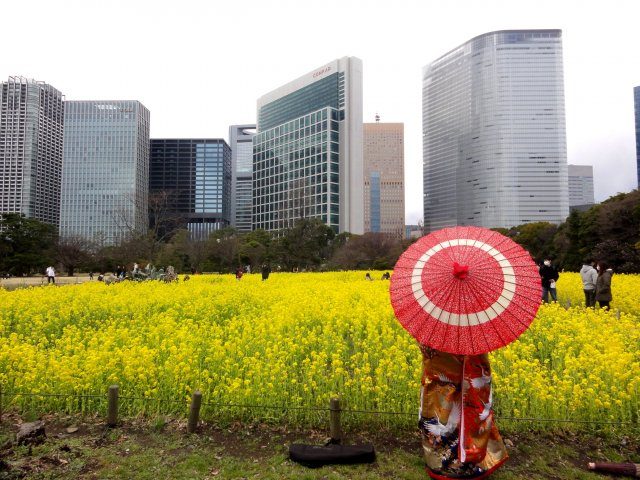 穿著和服的新娘？