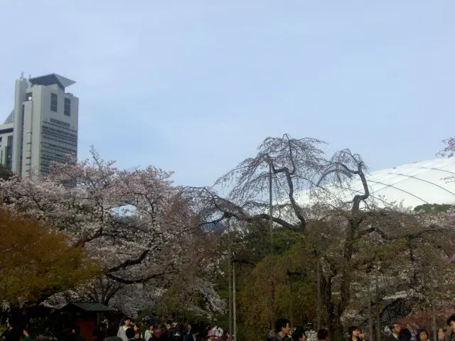 從園內可以看到文京區役所和東京巨蛋