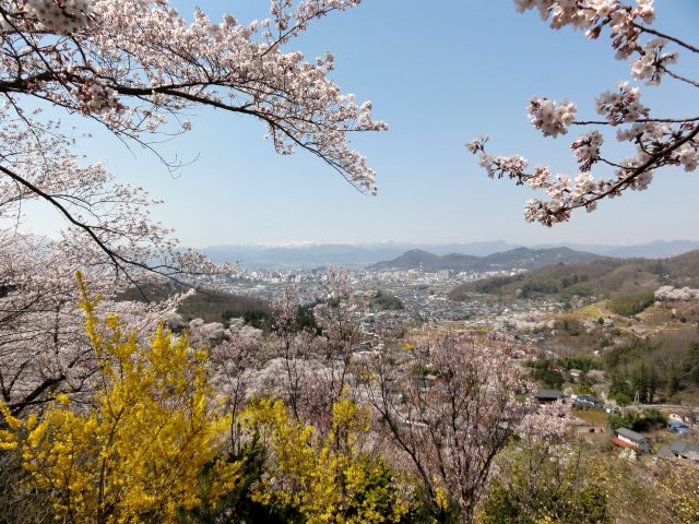 花見山