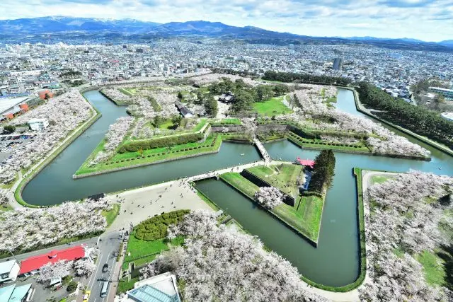 被櫻花之海覆蓋的五稜郭