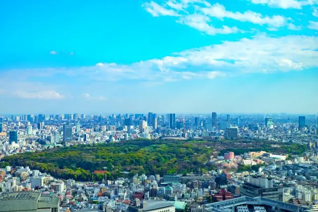 东京都心的绿洲