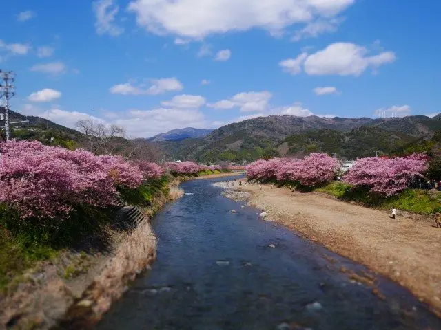 在「来宫桥」上观赏河川上游的风景