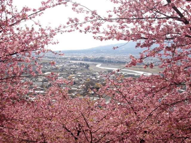 從松田山上拍到的景色