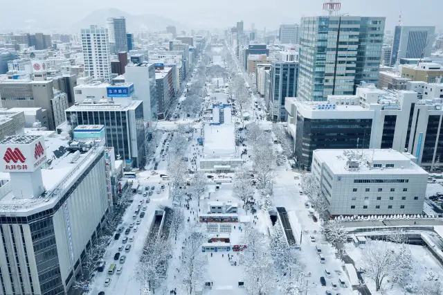 「札幌雪祭完整指南」盡情欣賞雪與冰的藝術！必看重點&推薦體驗方式一篇搞定！