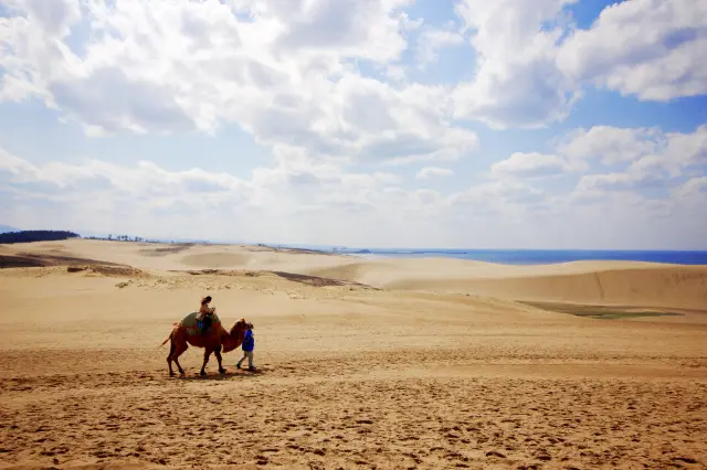 沙漠絕景就呈現在眼前！日本最大規模的沙丘