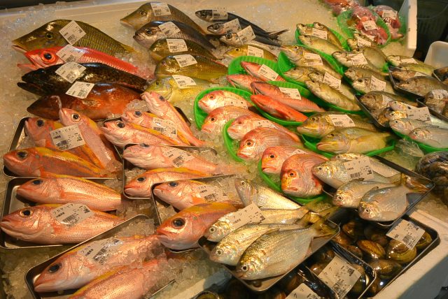 從近海捕撈的海產