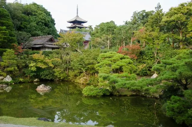 仁和寺優雅的日本庭園