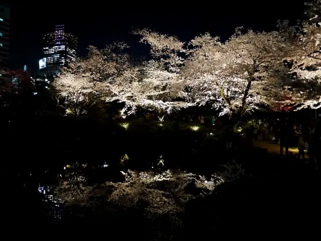 池面上的倒影明顯耀眼