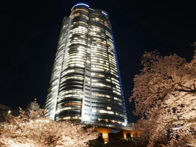 森大樓的夜櫻美景