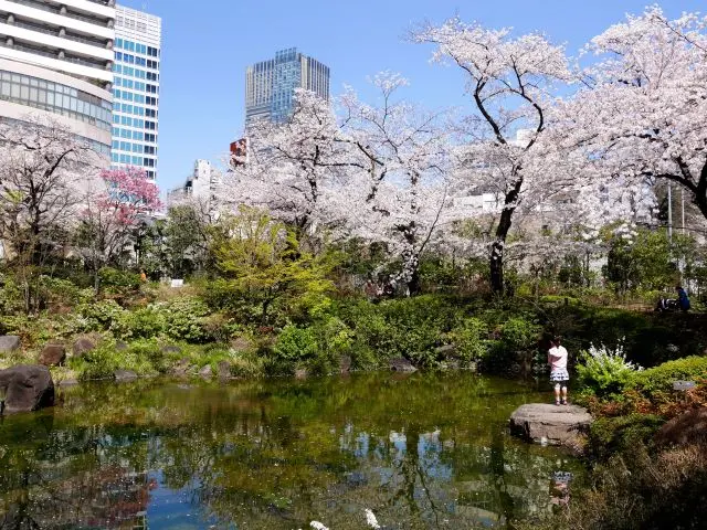 中午前的毛利庭園