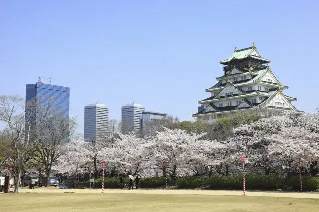 被列入日本賞櫻名所100選的大阪城公園