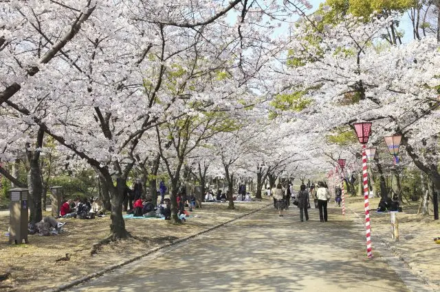 在庭園內信步賞花