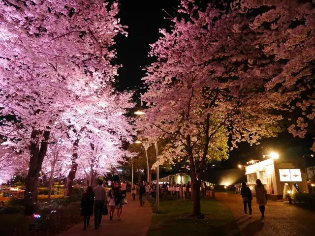 沿途還設有許多時髦的酒吧和甜點店