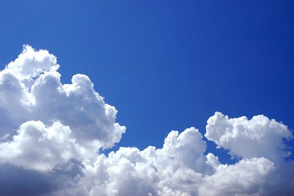 充滿神力的能量景點！沖繩山原「大石林山」。