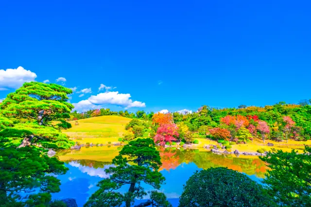 【萬博紀念公園秋季指南】大自然的藝術！到散漫萬博紀念公園欣賞美麗的楓葉