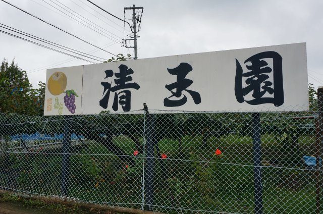 稻城市 清玉園梨園