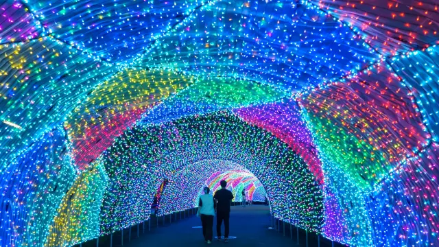 时隔3年设计焕新的鲜艳色彩，打造出华丽的光之隧道