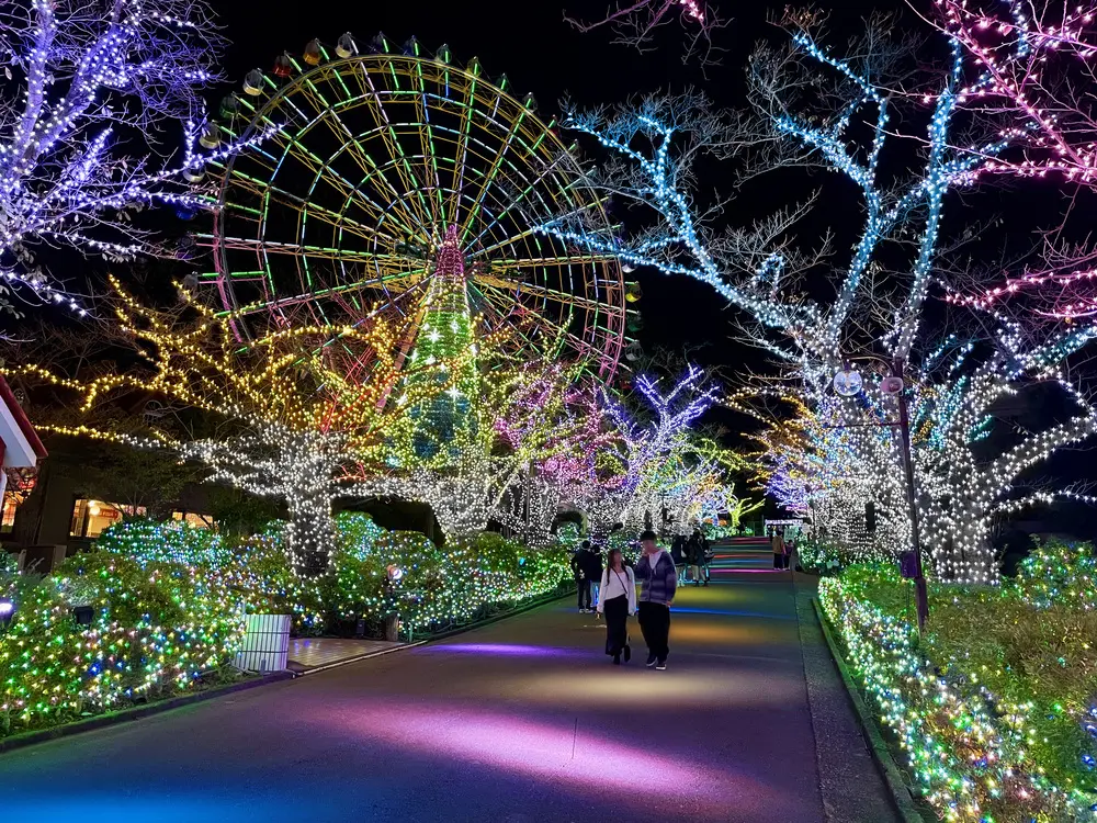 A radiant tree-lined path wrapped in beautiful, graceful colors