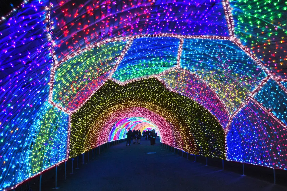 A vibrant and beautifully redesigned tunnel of light.
