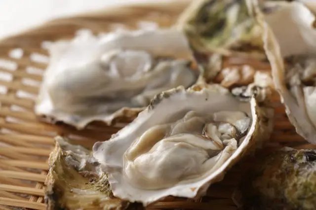 新鮮な牡蠣