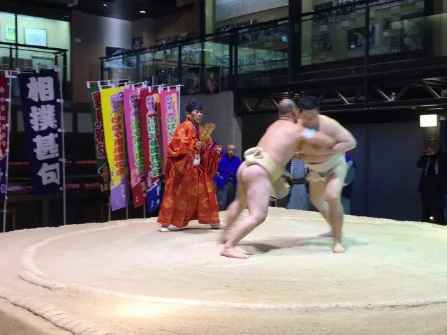 觀看相撲比賽