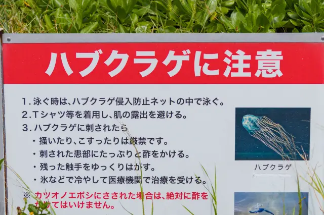 在沖繩海域也需留意危險生物。請確認當地告示與注意事項