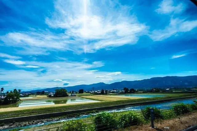 巴士路途中的自然風光