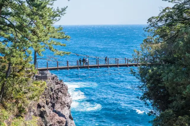 靜岡縣城崎海岸周邊景點4選！