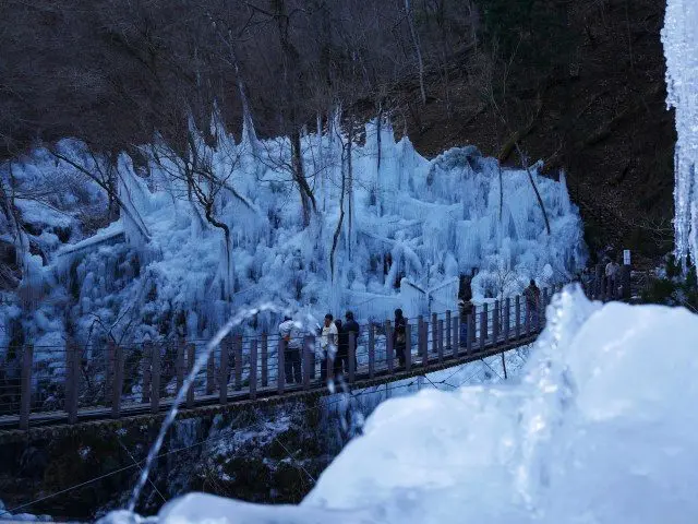 在溪谷設置水管向樹木和山上噴水