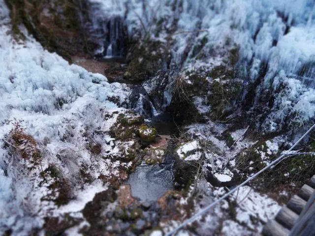 從吊橋往下遙望